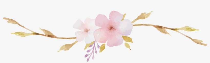 https://www.seekpng.com/png/detail/300-3008402_floral-divider-oleander.png